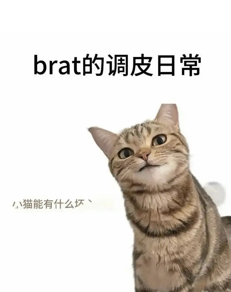 西檬之家-理解字母圈核心术语：从入门到精通