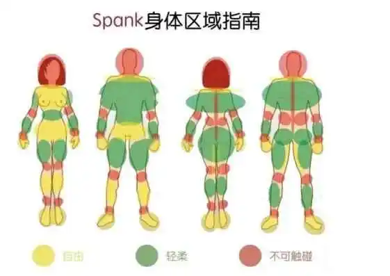 s属性：实用指南