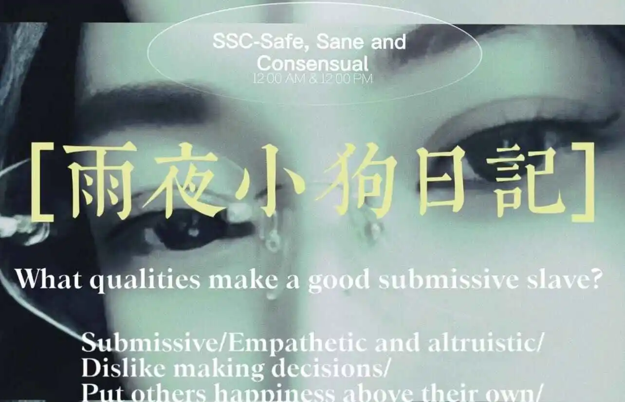 西檬之家-字母圈入圈指南：从基础知识到核心原则浅析