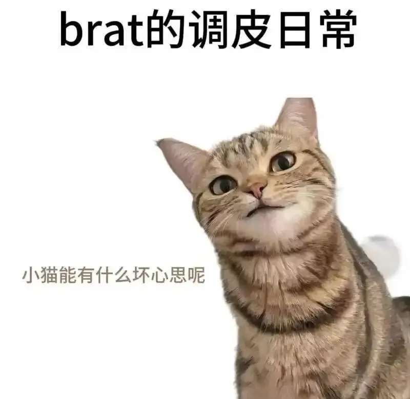 西檬之家-字母圈新人入局指南：从基础知识到核心术语