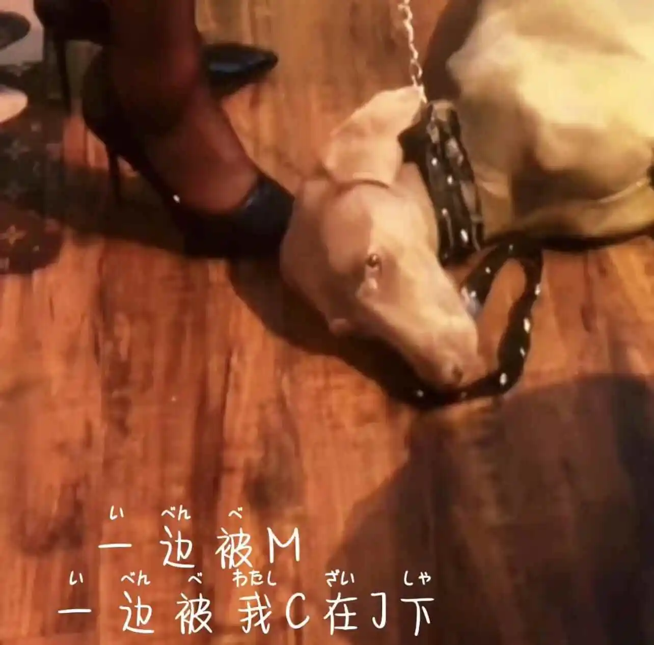 【西檬之家-字母圈的Brat属性是什么意思？新人需知道的BDSM术语解析】