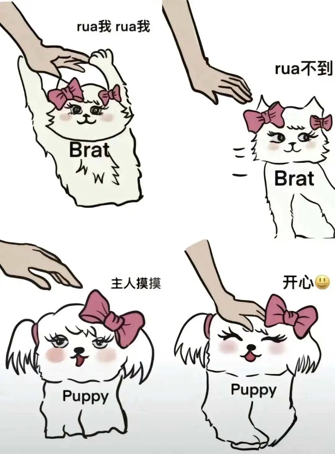西檬之家-字母圈的DS实践指南