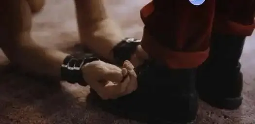 tickle：实用指南