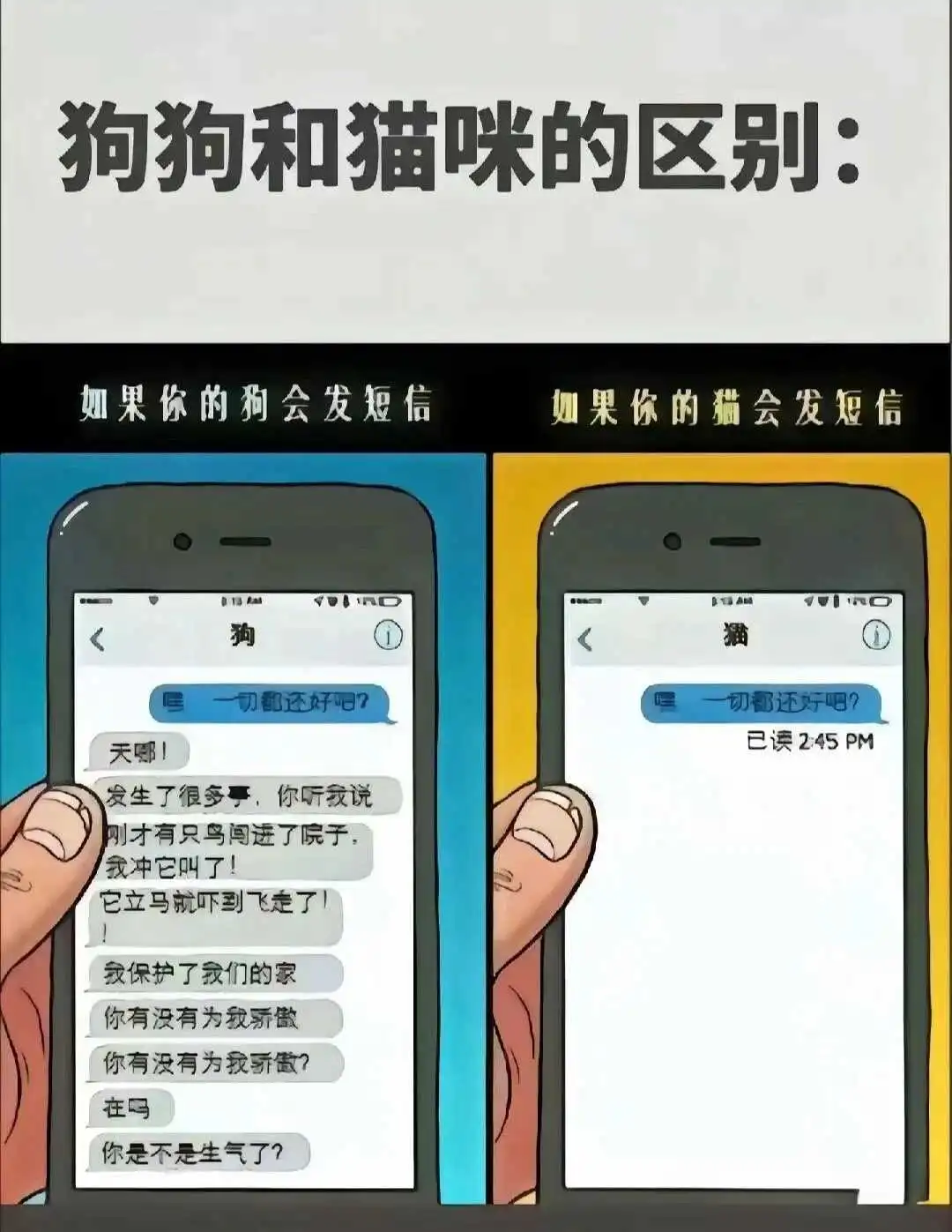 【西檬之家】新人入圈指南-从零了解字母圈核心术语