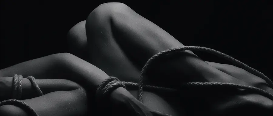 女王：实用指南