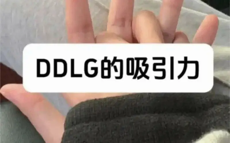 西檬之家-字母圈新人入圈指南，从基础术语到SSC原则