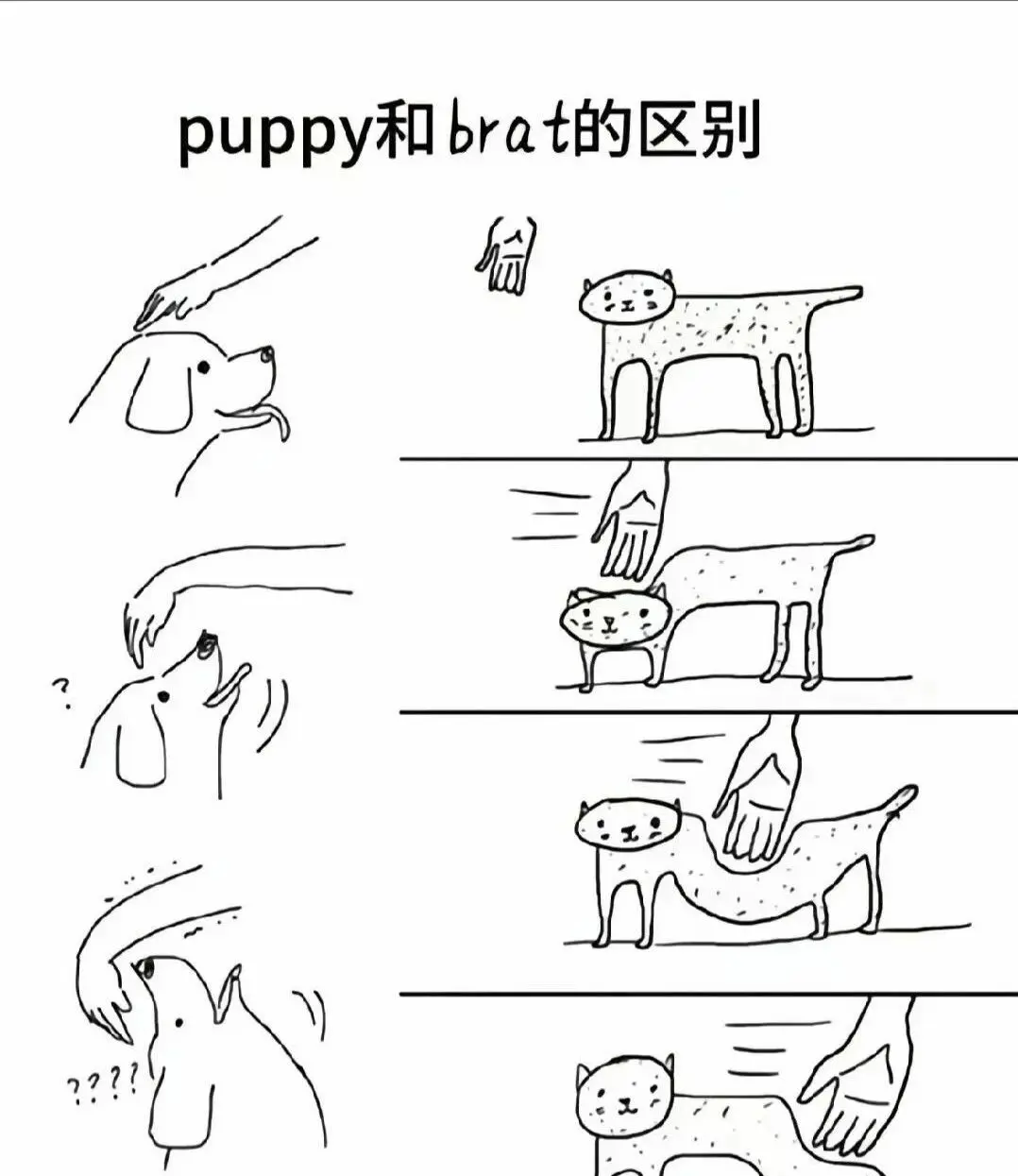 西檬之家-字母圈新人入圈全解析